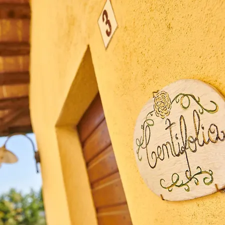 La Rosa Apartment Citta di Castello Exterior photo