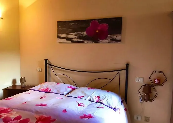 La Rosa